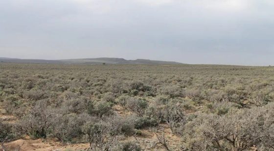 San Luis Valley Ranches Tract 8 in Costilla County, CO