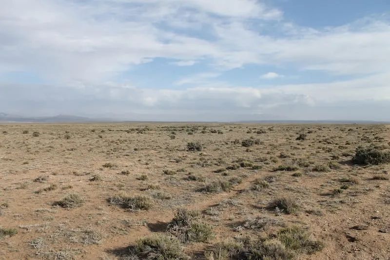 Decorative background for San Luis Valley Ranches Tract 8 image 6