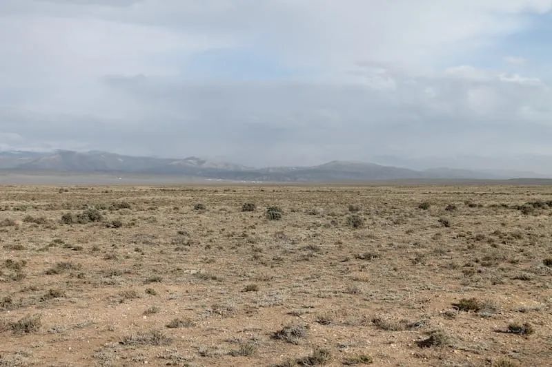 Decorative background for San Luis Valley Ranches Tract 8 image 7
