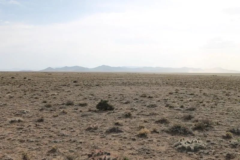 Decorative background for San Luis Valley Ranches Tract 8 image 9