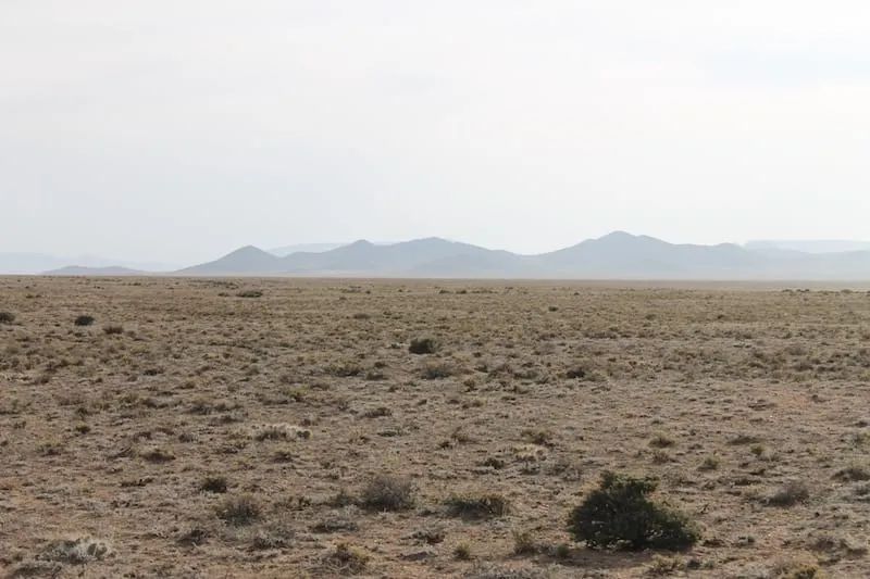 Decorative background for San Luis Valley Ranches Tract 8 image 10