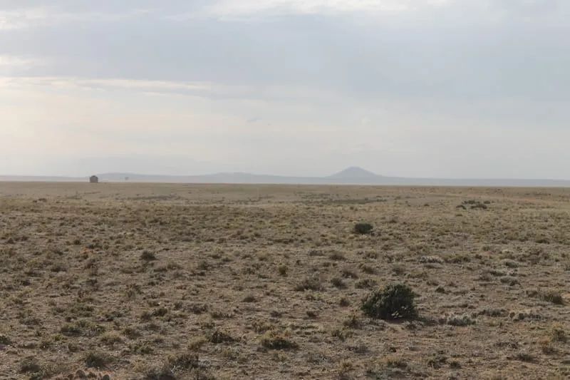 Decorative background for San Luis Valley Ranches Tract 8 image 11