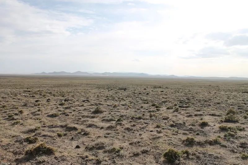 Decorative background for San Luis Valley Ranches Tract 8 image 12