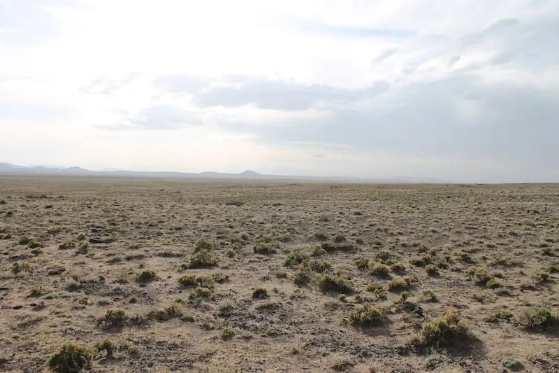 Decorative background for San Luis Valley Ranches Tract 8 image 13