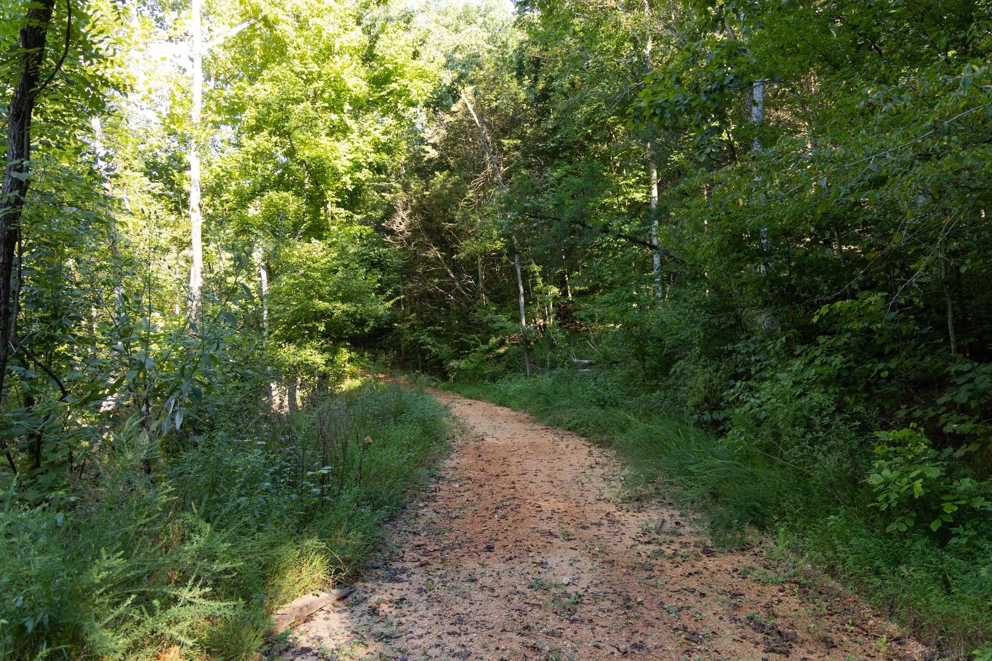 Big White Oak Tract 82 in Perry County, TN