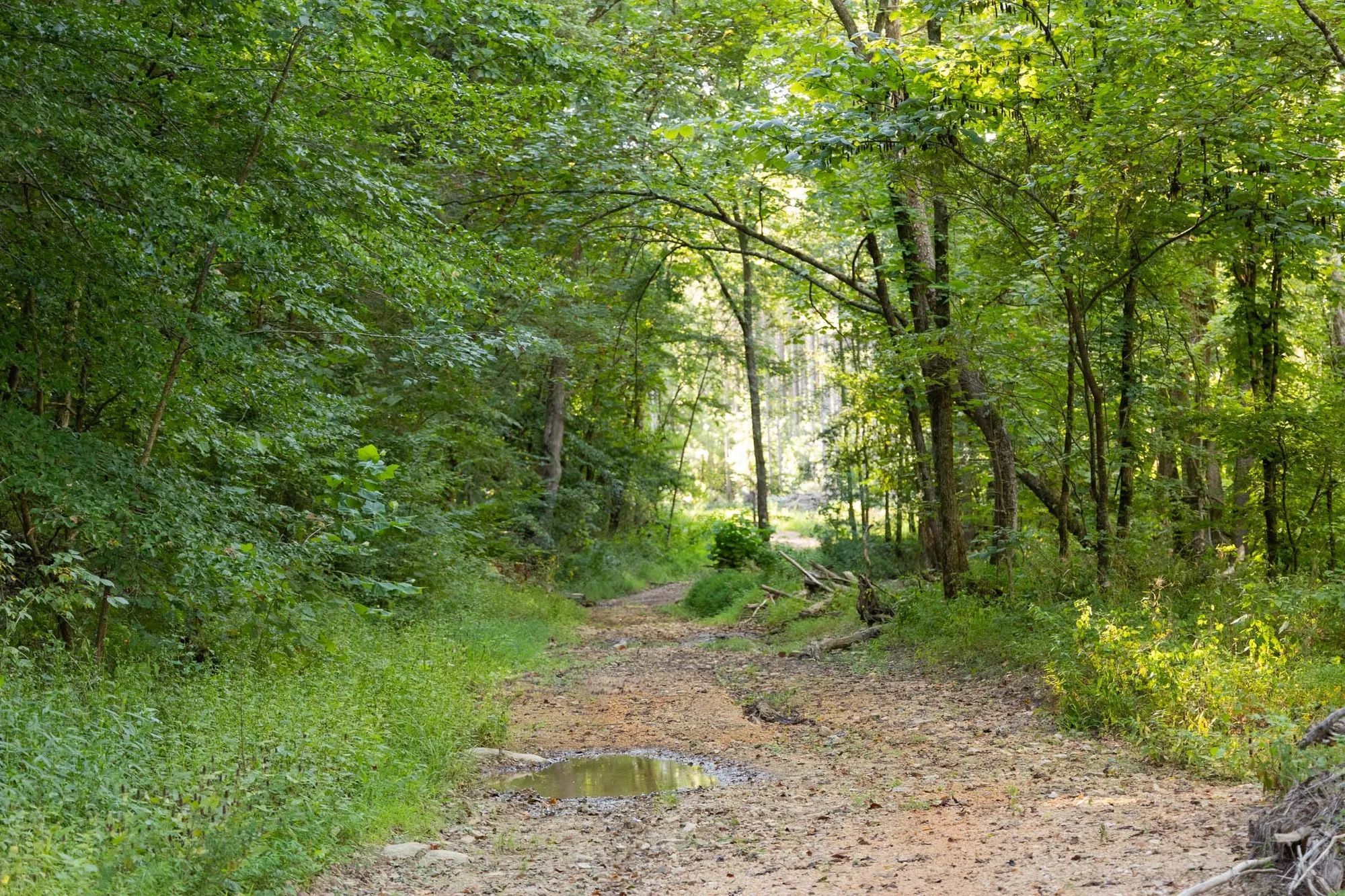 Big White Oak Tract 82 in Perry County, TN