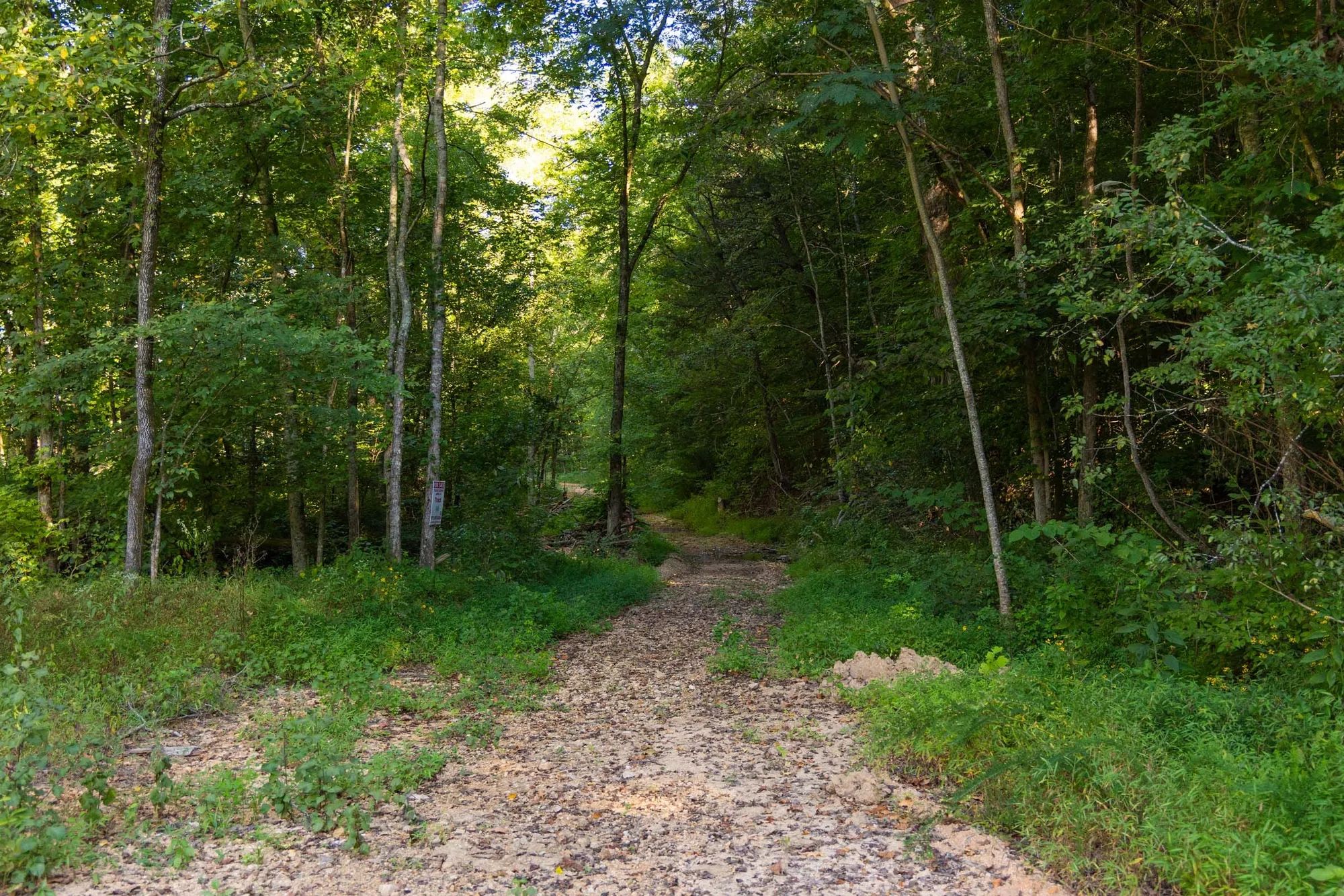 Big White Oak Tract 82 in Perry County, TN