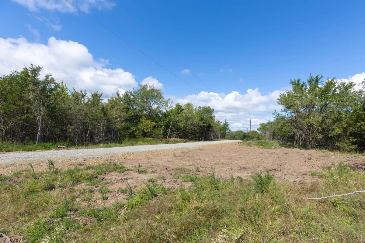 Decorative background for Reserves At Cattail Cove Phase II Tract 94 image 5