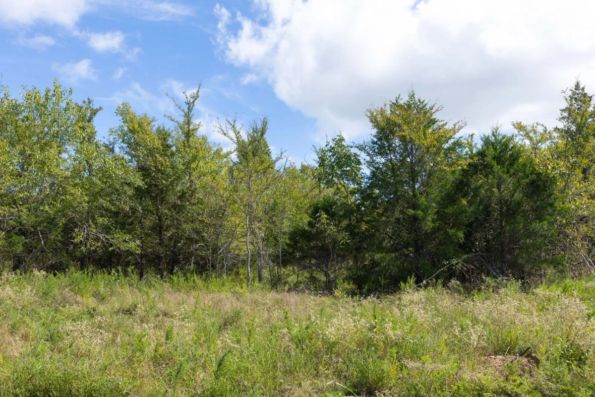 Decorative background for Reserves At Cattail Cove Phase II Tract 94 image 6