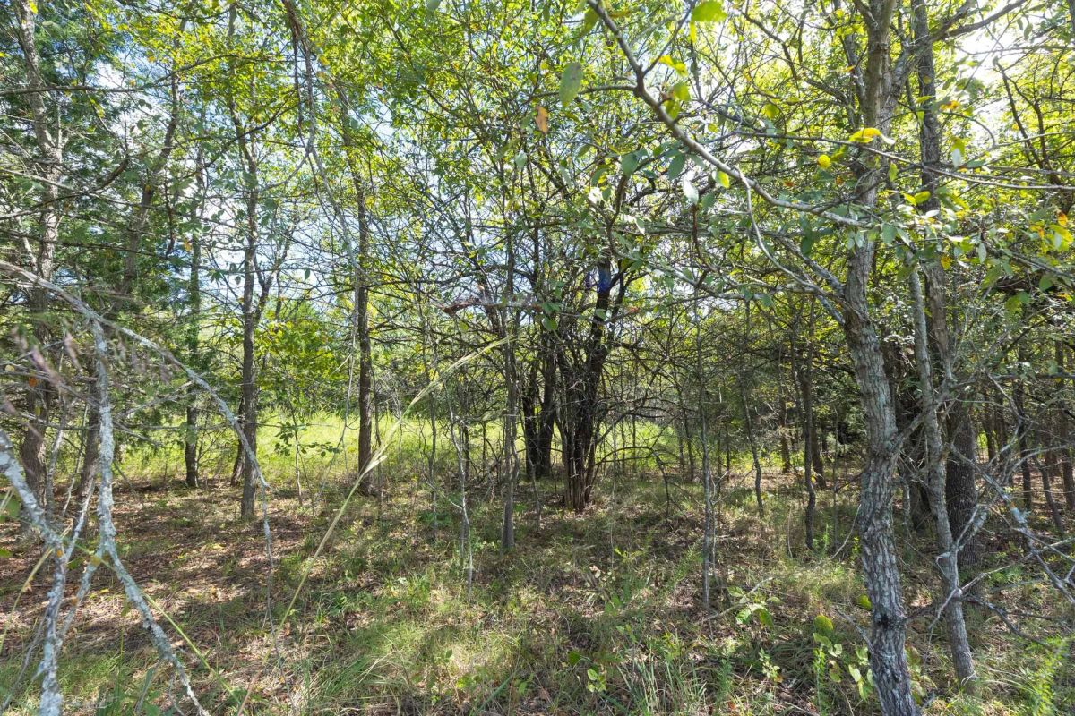 Decorative background for Reserves At Cattail Cove Phase II Tract 94 image 7