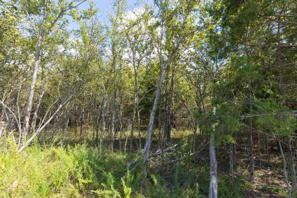 Decorative background for Reserves At Cattail Cove Phase II Tract 94 image 9