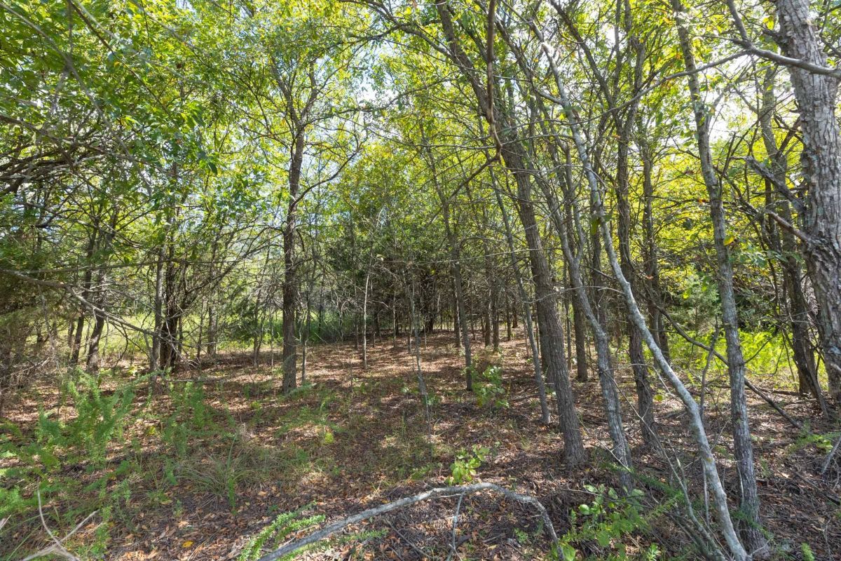 Decorative background for Reserves At Cattail Cove Phase II Tract 94 image 10