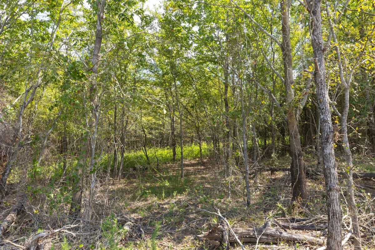 Decorative background for Reserves At Cattail Cove Phase II Tract 94 image 11