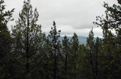 Moon Valley Ranch Tract 766