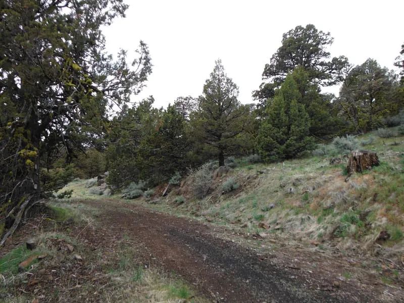 Moon Valley Ranch Tract 766 in Lassen County, CA