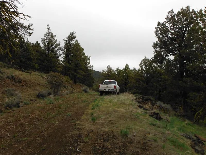 Decorative background for Moon Valley Ranch Tract 766 image 5