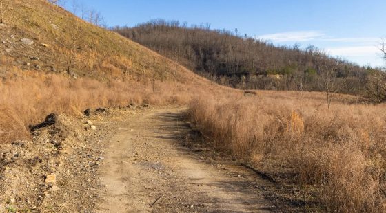 Jade Pass Tract 14 in Whitley County, KY