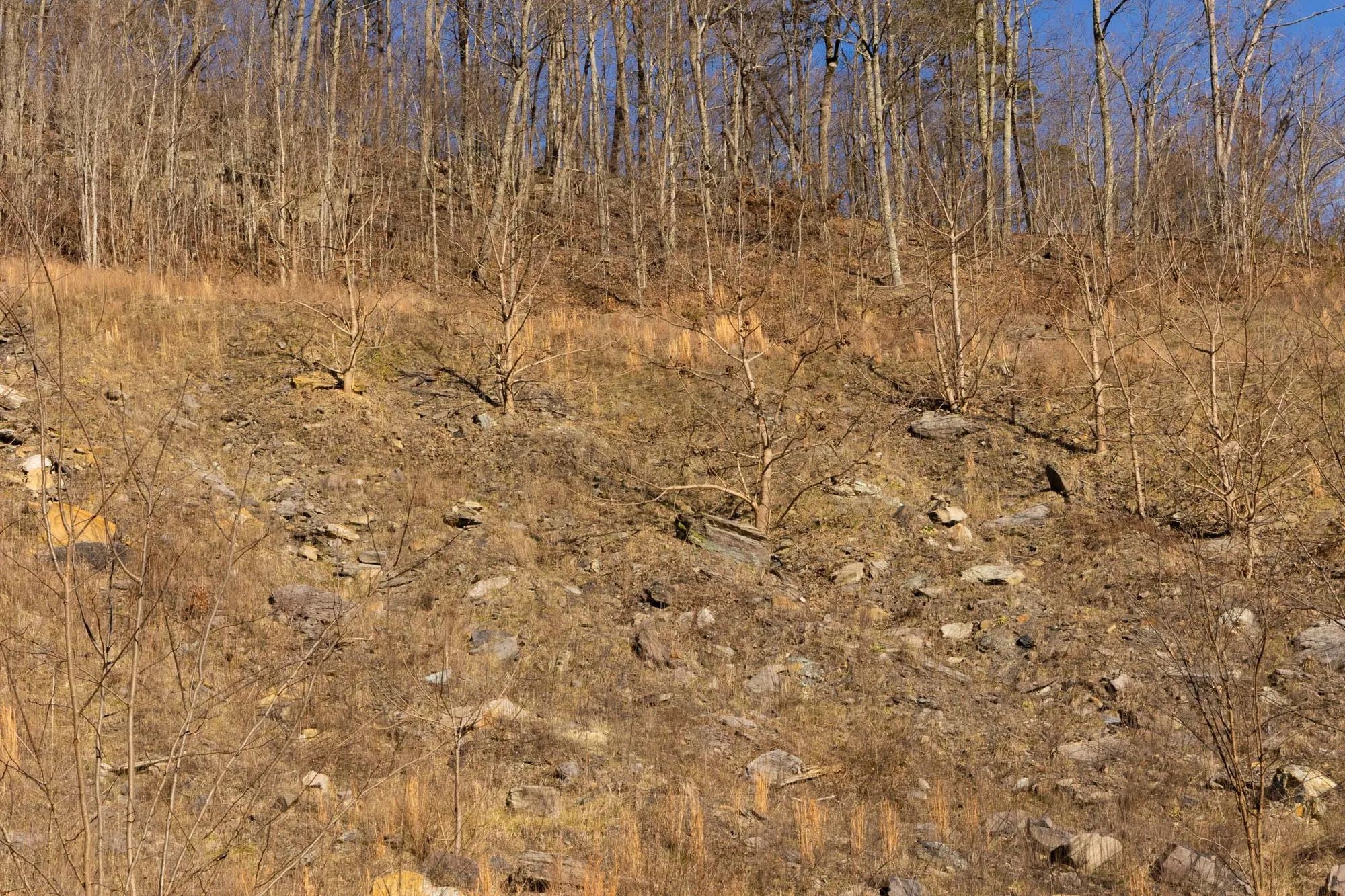 Jade Pass Tract 14 in Whitley County, KY