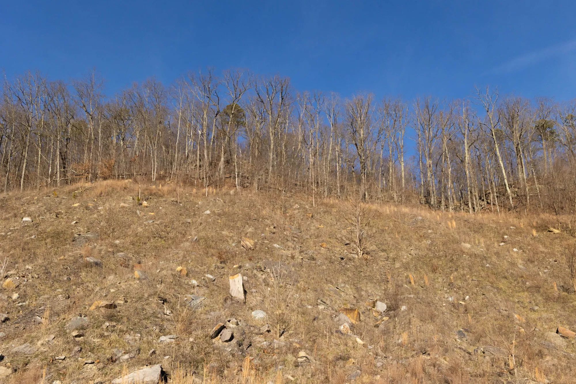 Jade Pass Tract 14 in Whitley County, KY