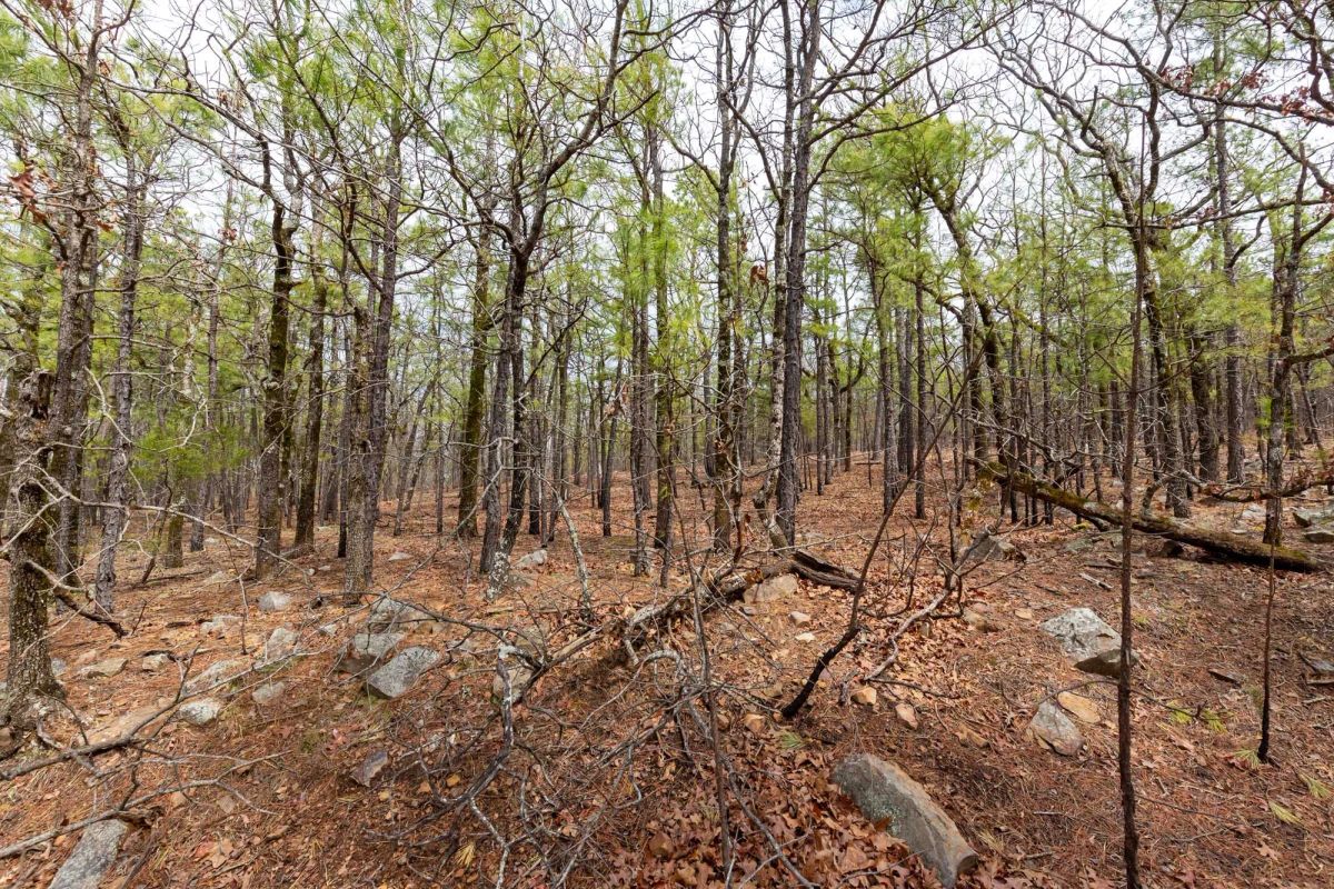 Stone Bridge Phase III Tract 210 - Image 3