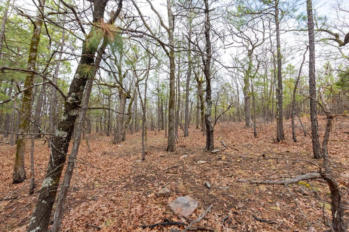 Decorative background for Stone Bridge Phase III Tract 210 image 8