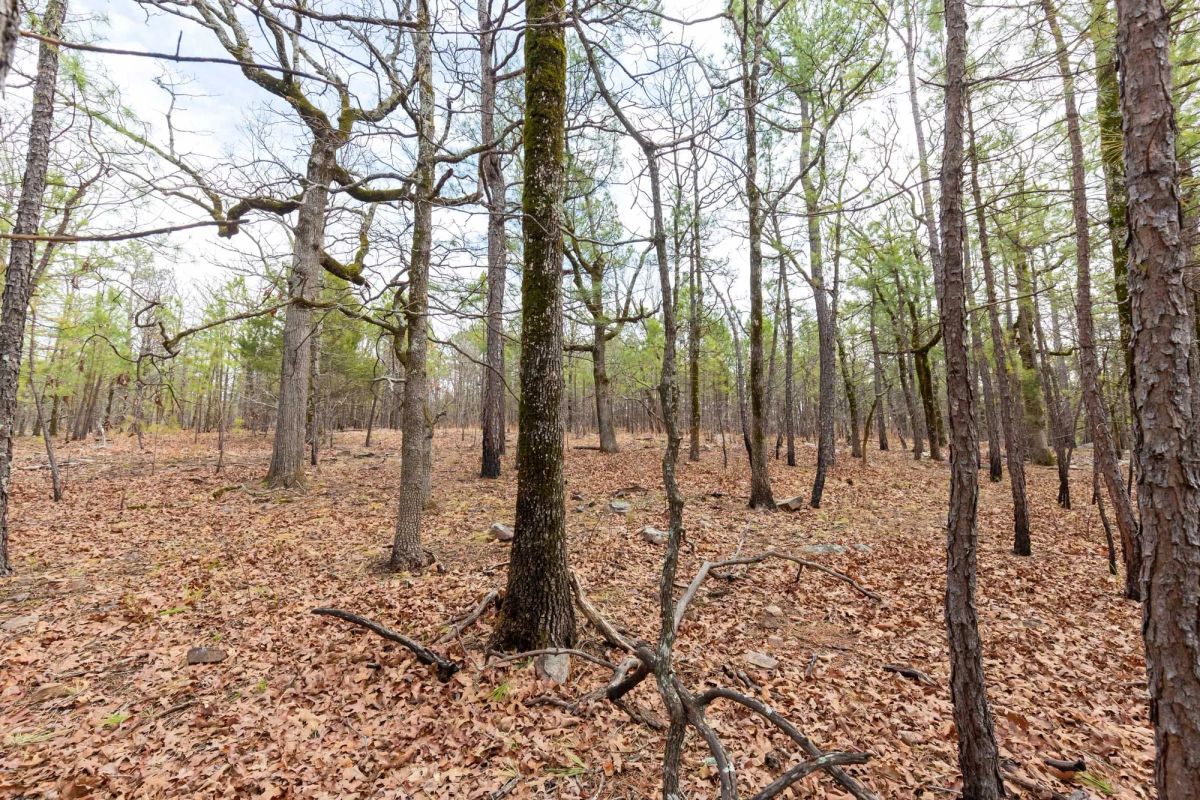Decorative background for Stone Bridge Phase III Tract 210 image 9