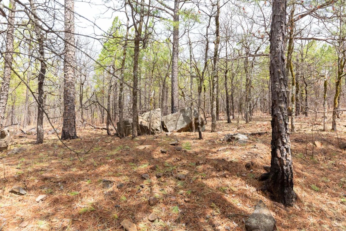 Decorative background for Stone Bridge Phase III Tract 210 image 10