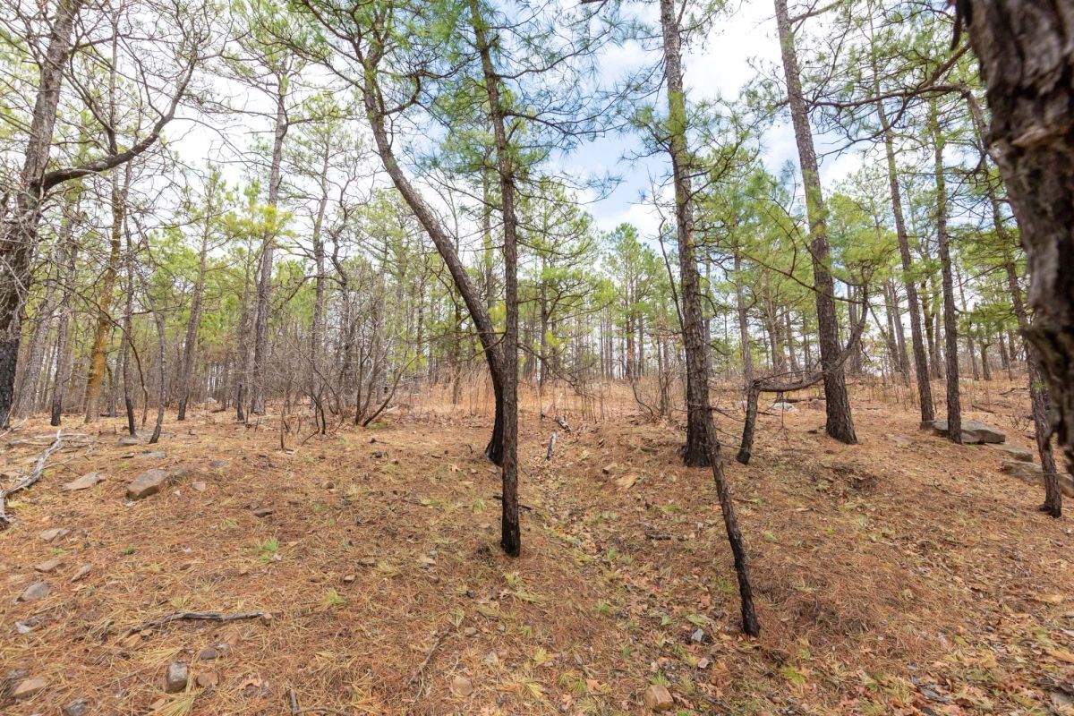 Decorative background for Stone Bridge Phase III Tract 210 image 11