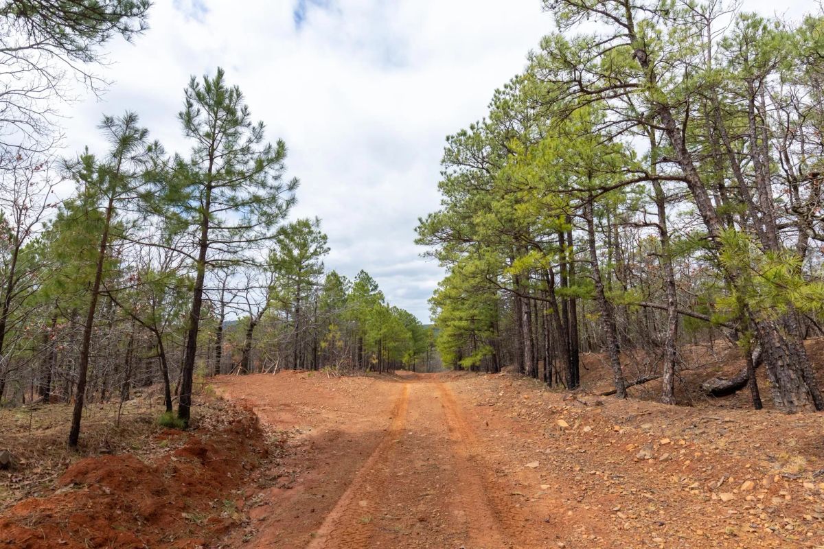 Decorative background for Stone Bridge Phase III Tract 210 image 12