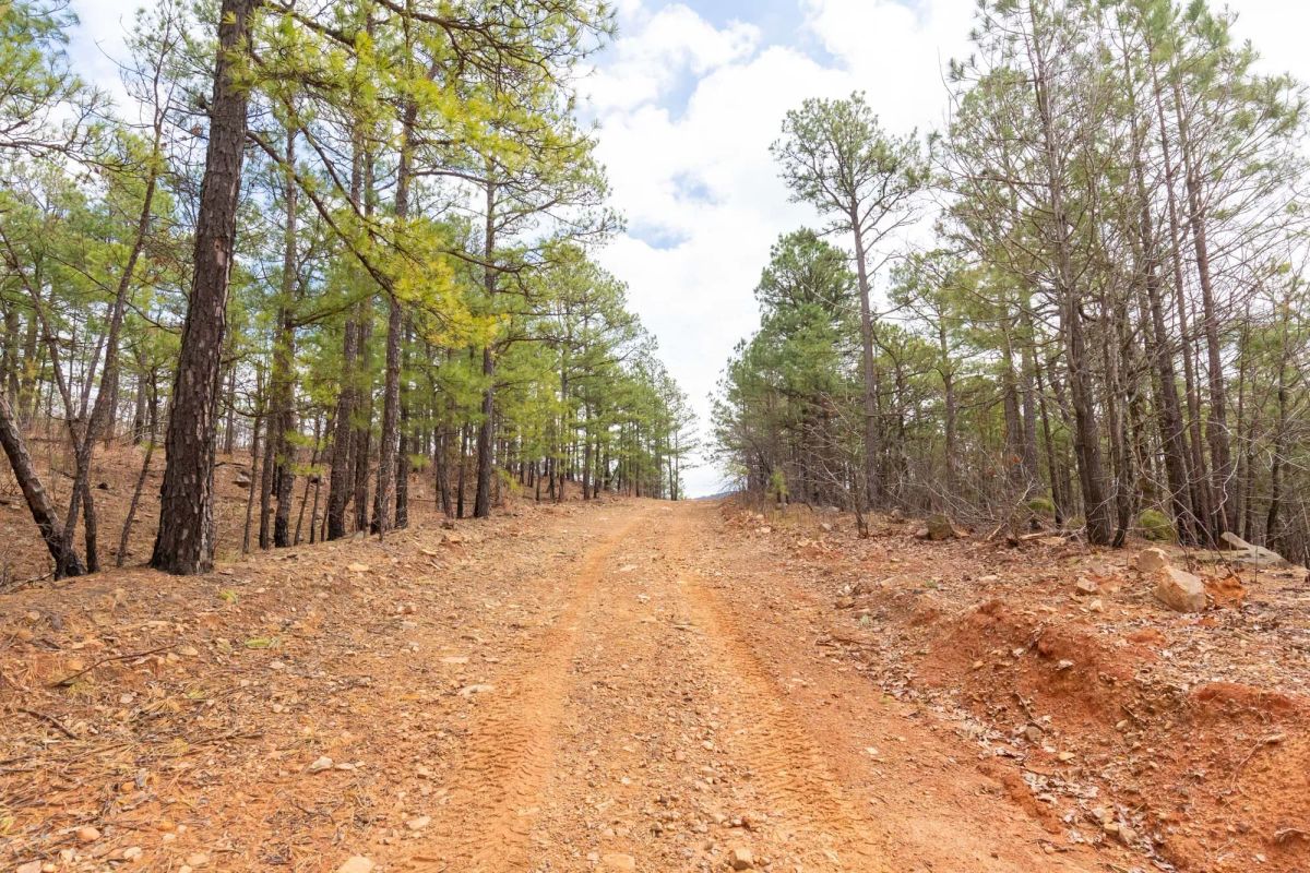 Decorative background for Stone Bridge Phase III Tract 210 image 13