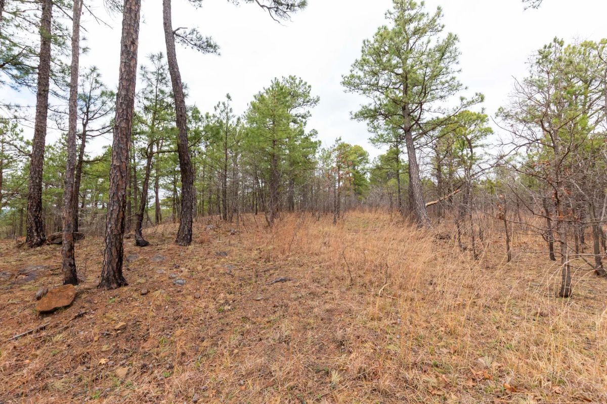 Decorative background for Stone Bridge Phase III Tract 210 image 15