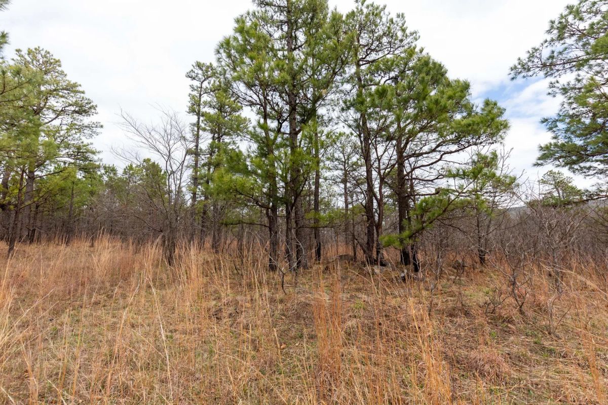 Decorative background for Stone Bridge Phase III Tract 210 image 16