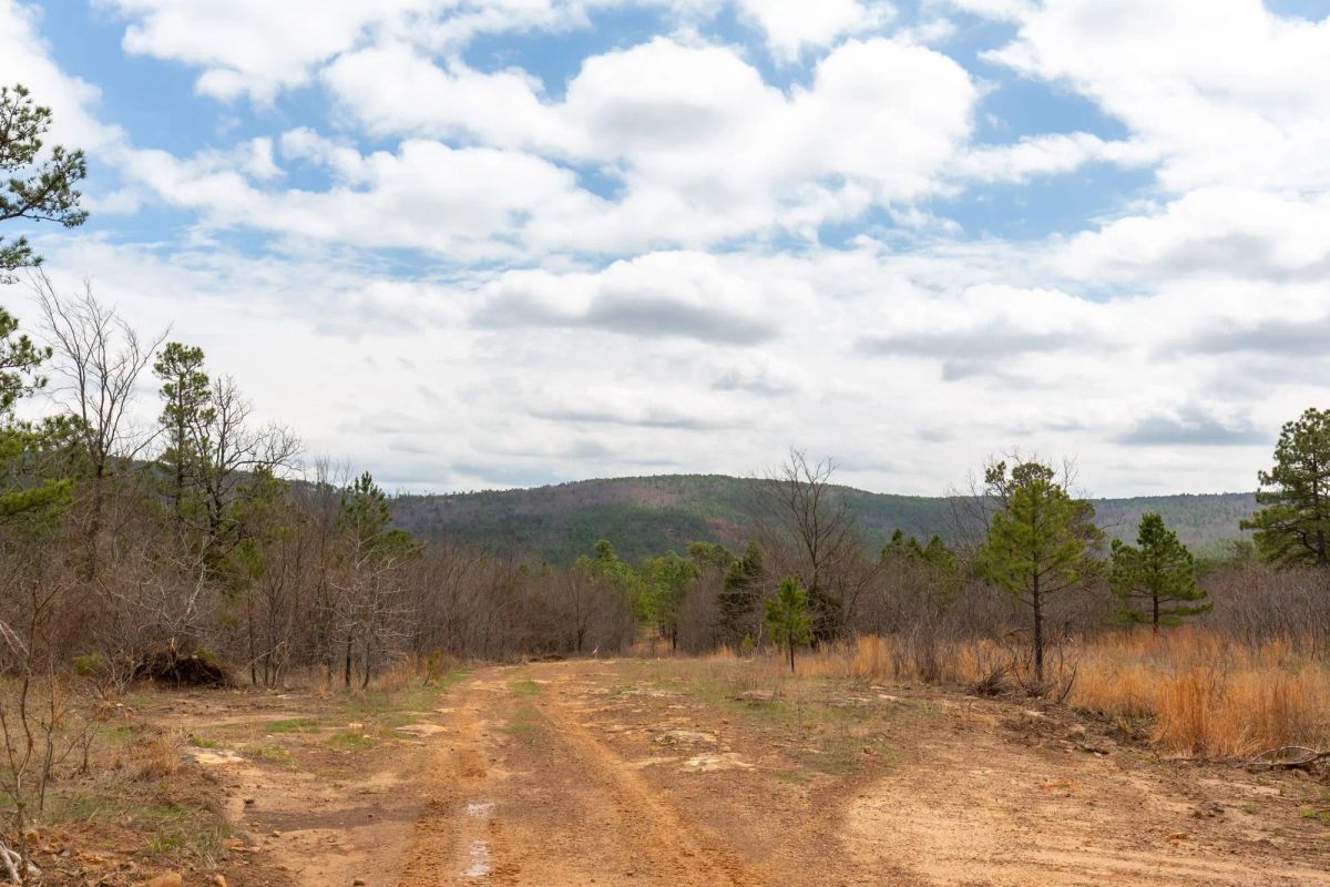 Decorative background for Stone Bridge Phase III Tract 210 image 17