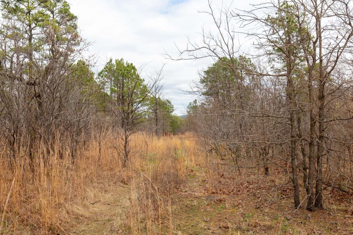 Decorative background for Stone Bridge Phase III Tract 210 image 18