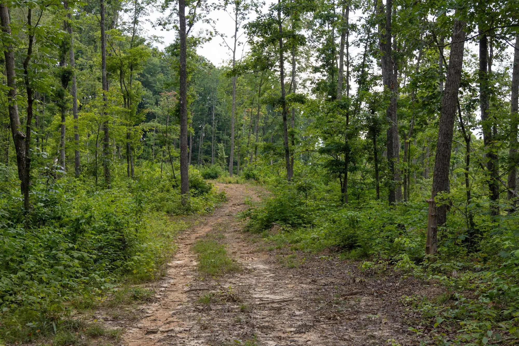 Creek Hollow Phase II Tract 60 in Rockcastle County, KY