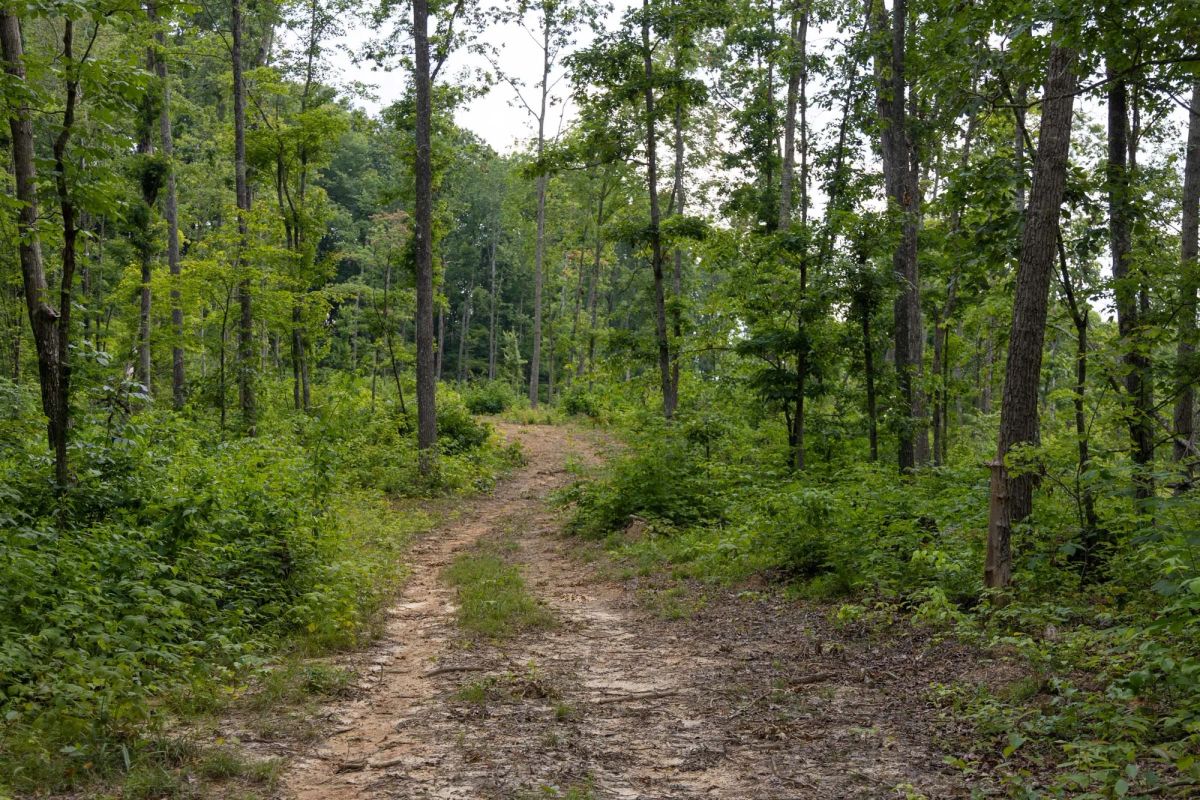 Creek Hollow Phase II Tract 60 - Main image