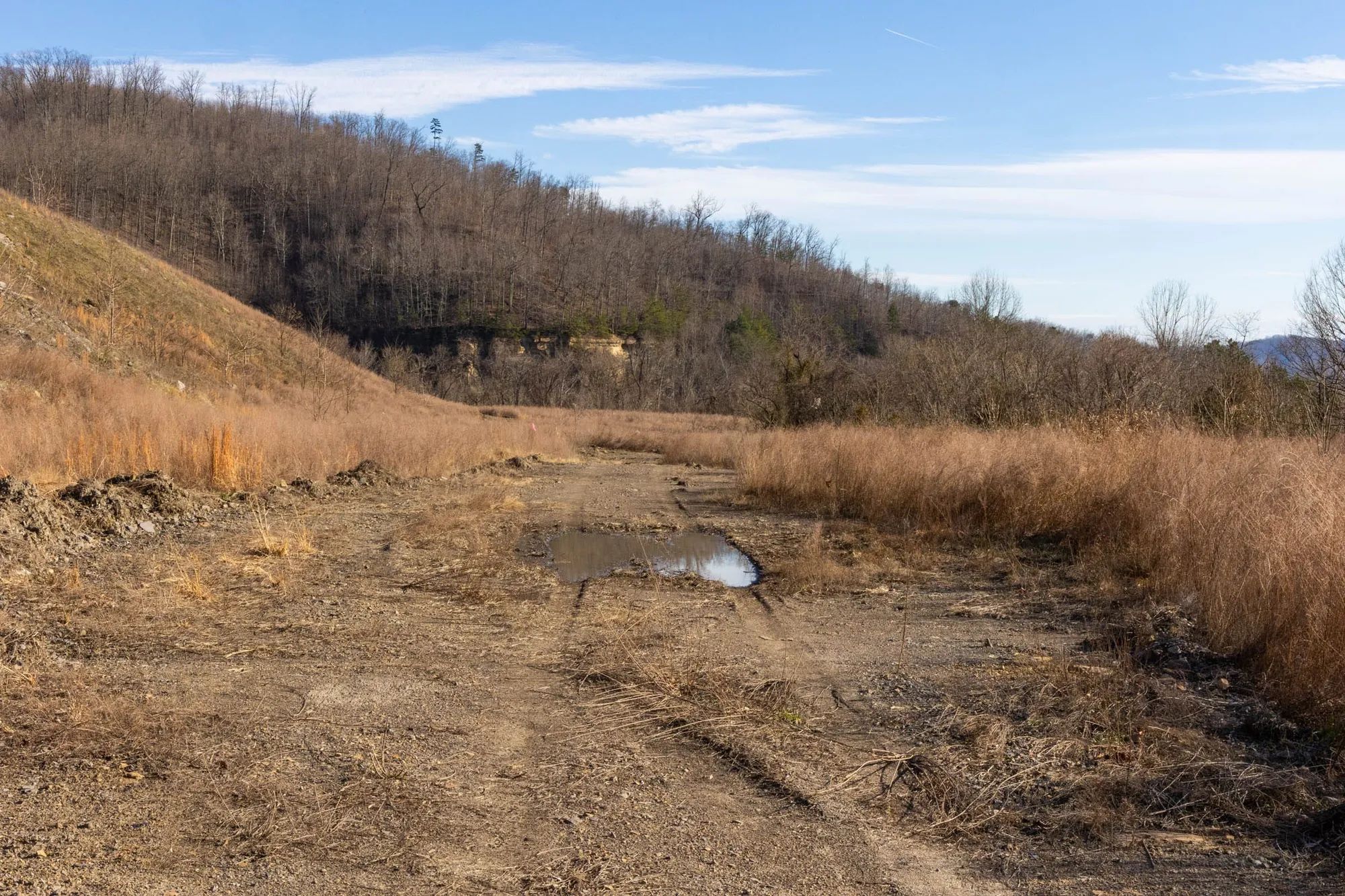 Jade Pass Tract 13 in Whitley County, KY