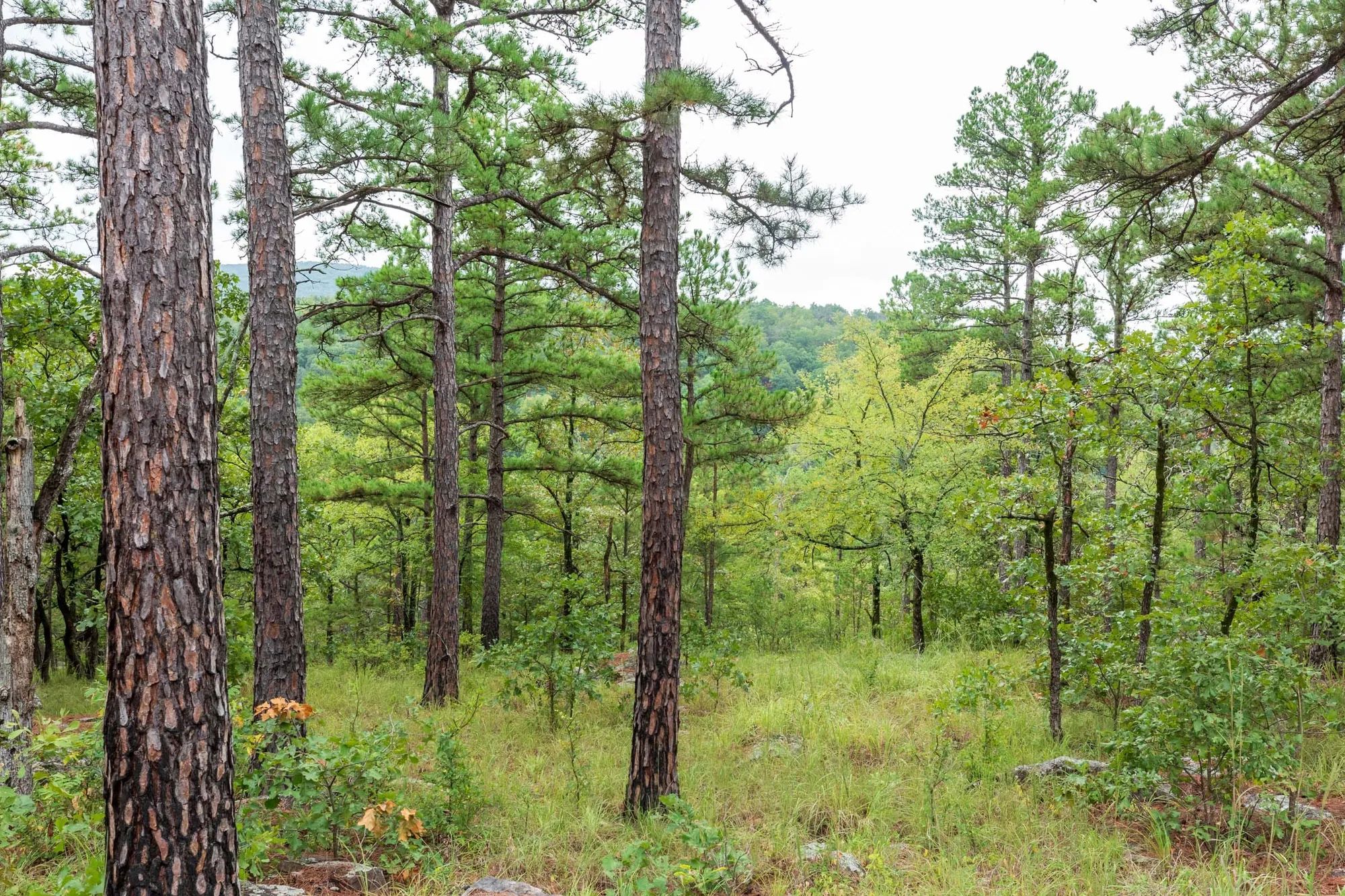 Stone Bridge Phase V Tract 425 in Latimer County, OK