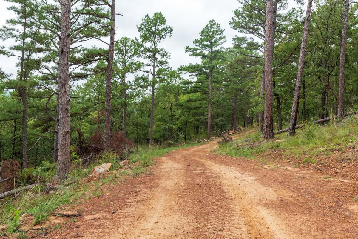 Decorative background for Stone Bridge Phase V Tract 425 image 6