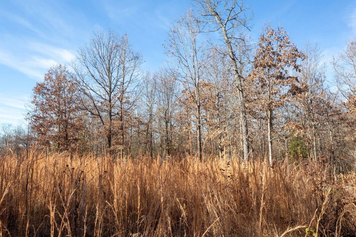 Dutchman Hollow Tract 5 - Main image