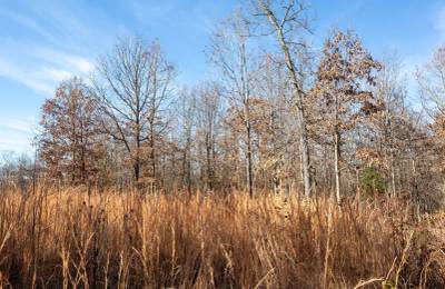 Dutchman Hollow Tract 5