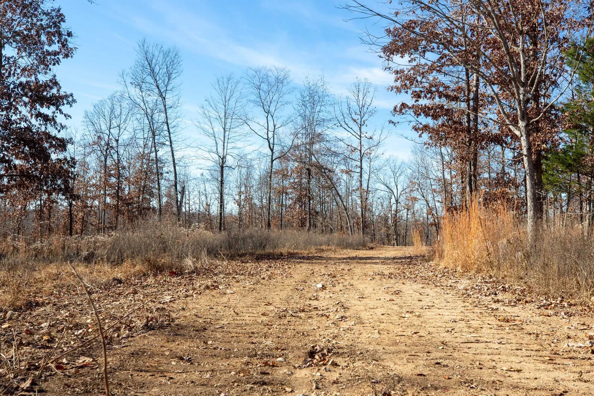 Dutchman Hollow Tract 5 in Fulton County, AR