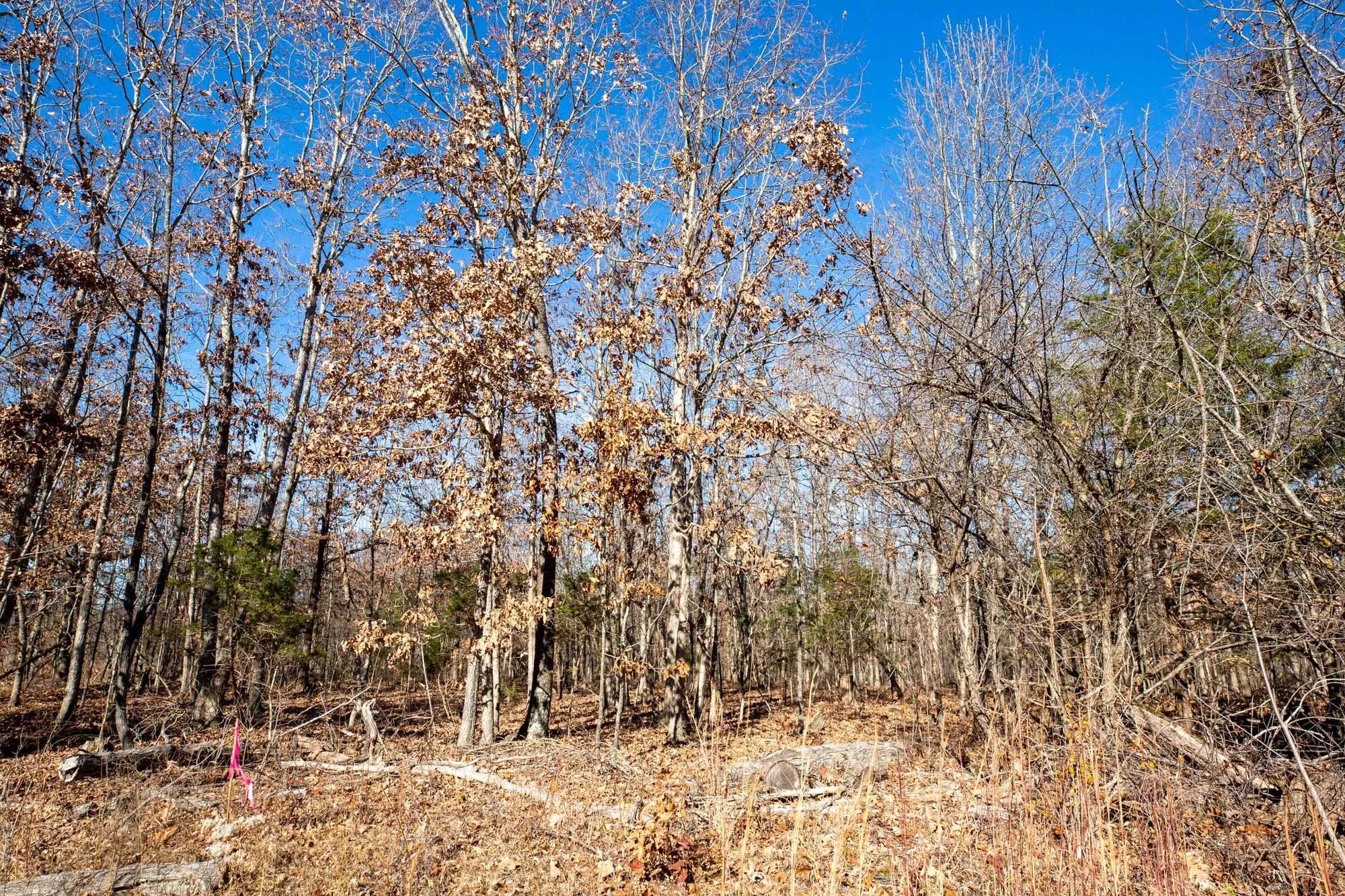 Dutchman Hollow Tract 5 in Fulton County, AR