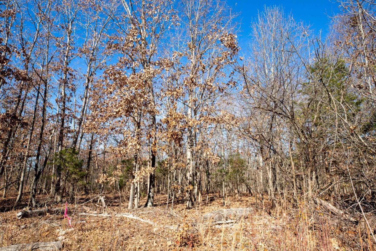 Dutchman Hollow Tract 5 - Image 3