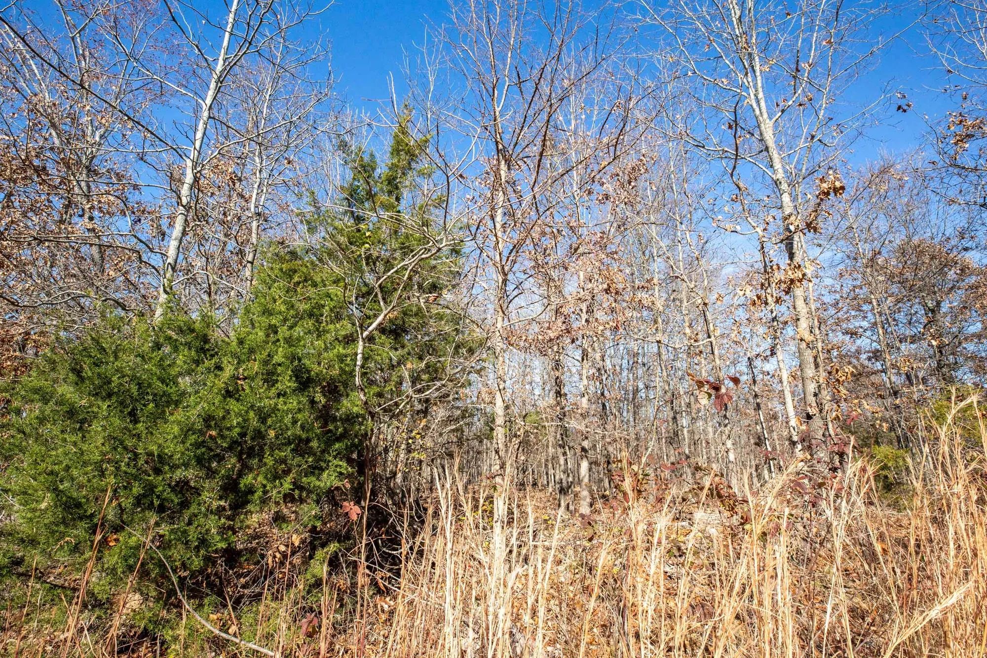 Dutchman Hollow Tract 5 in Fulton County, AR