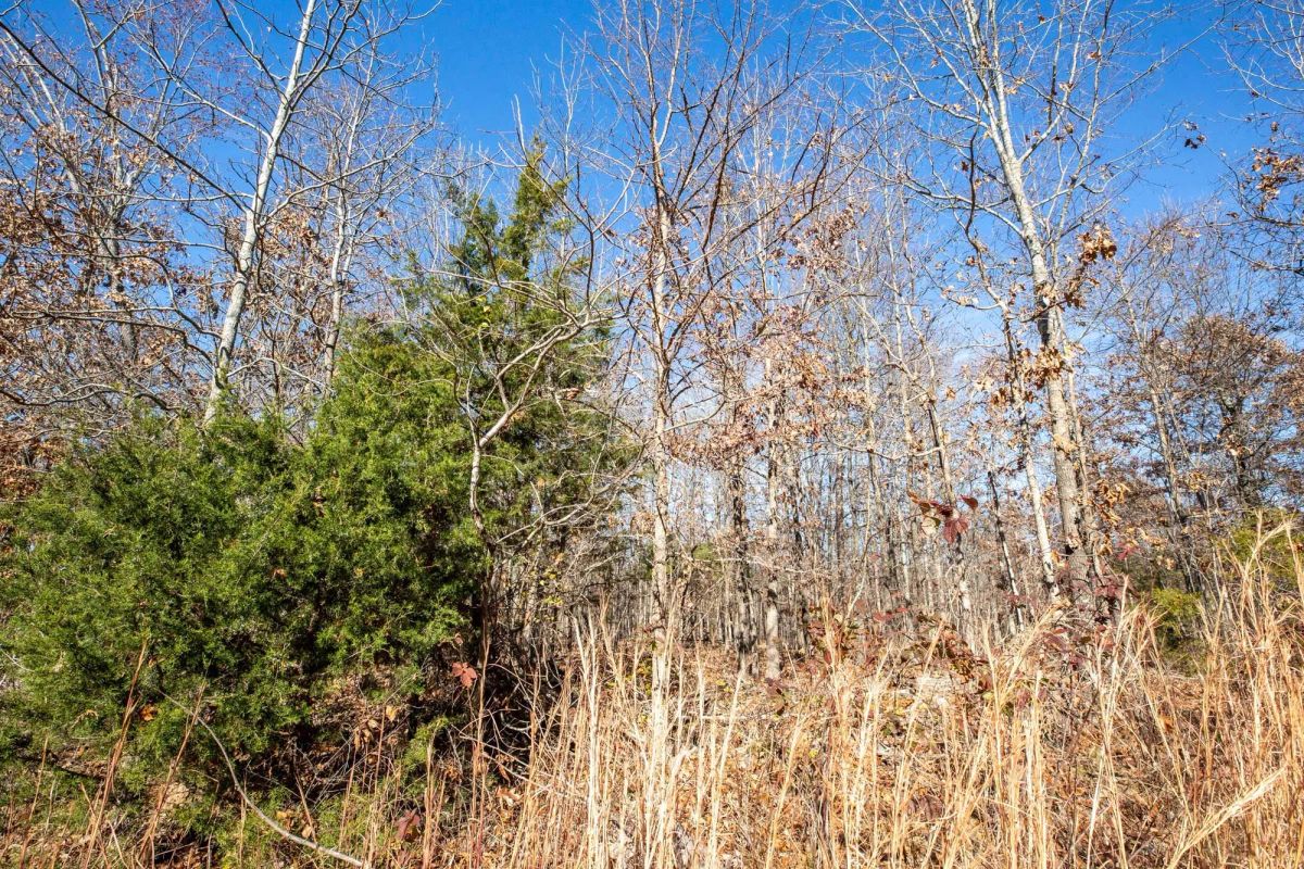 Dutchman Hollow Tract 5 - Image 4