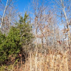 Dutchman Hollow Tract 5 in Fulton County, AR