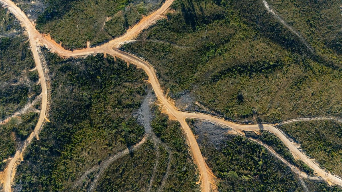 Meyer’s Ridge Tract 25 - Main image