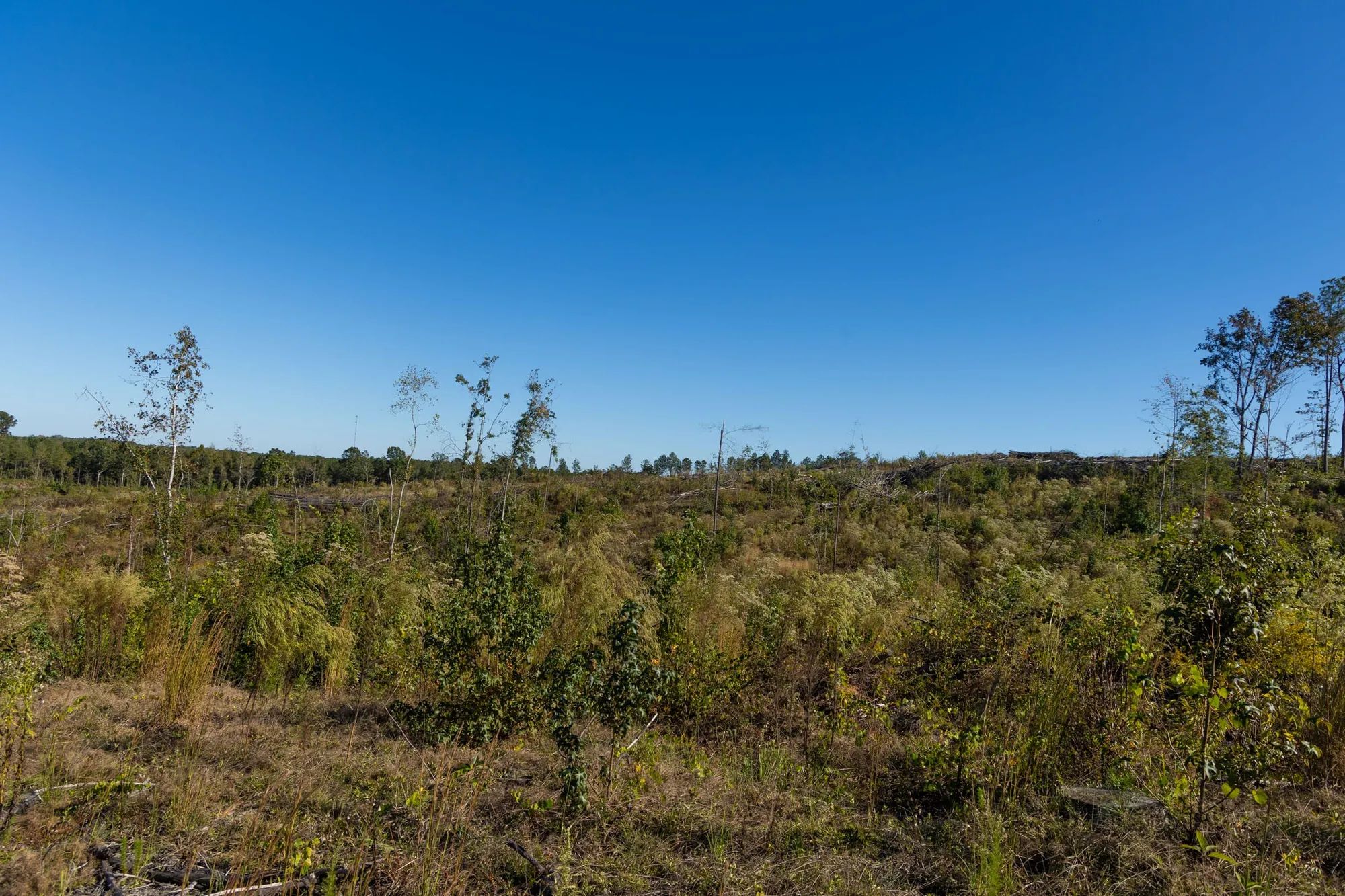 Meyer’s Ridge Tract 25 in Attala County, MS