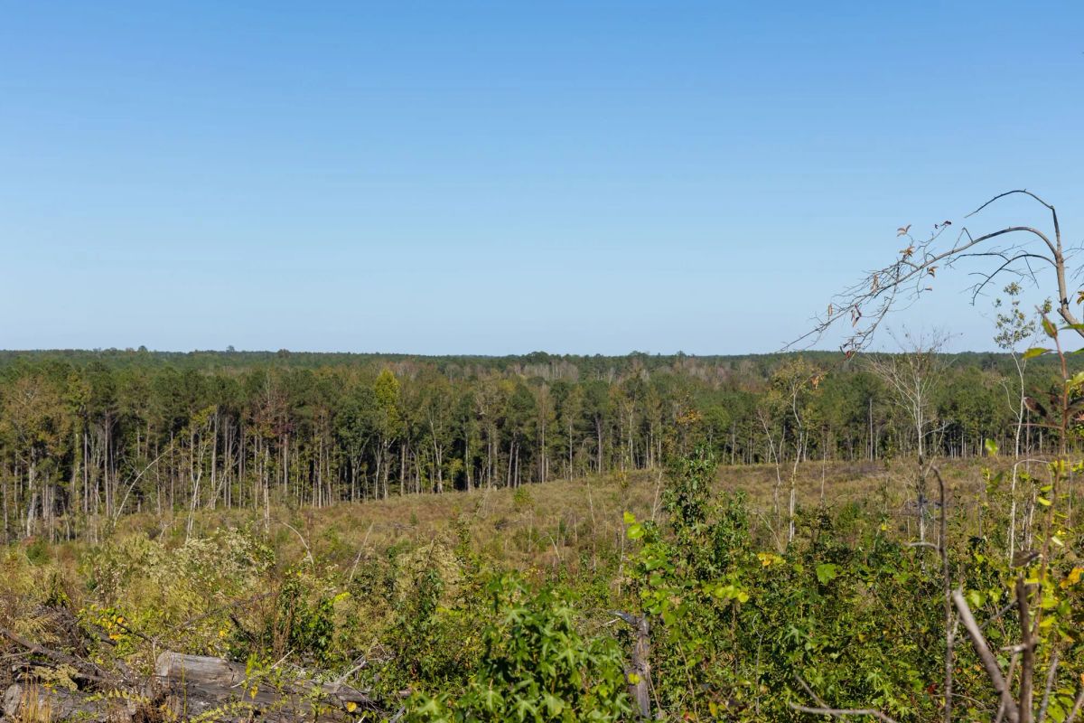 Decorative background for Meyer’s Ridge Tract 25 image 9